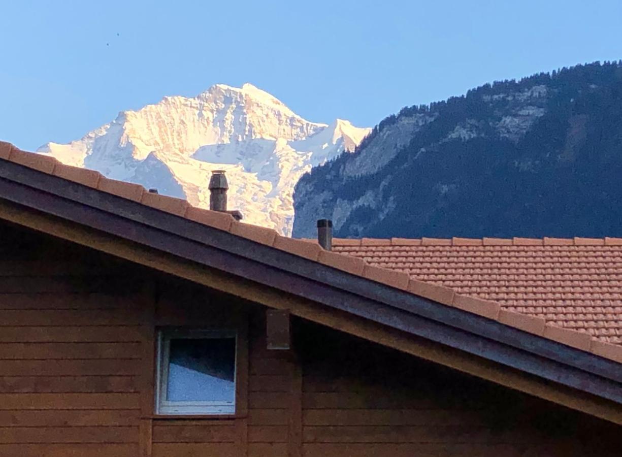 S&P Mountain View Apartment 1 Wilderswil Exterior photo